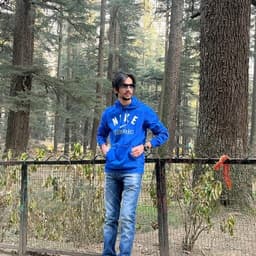 Hardik Ahuja